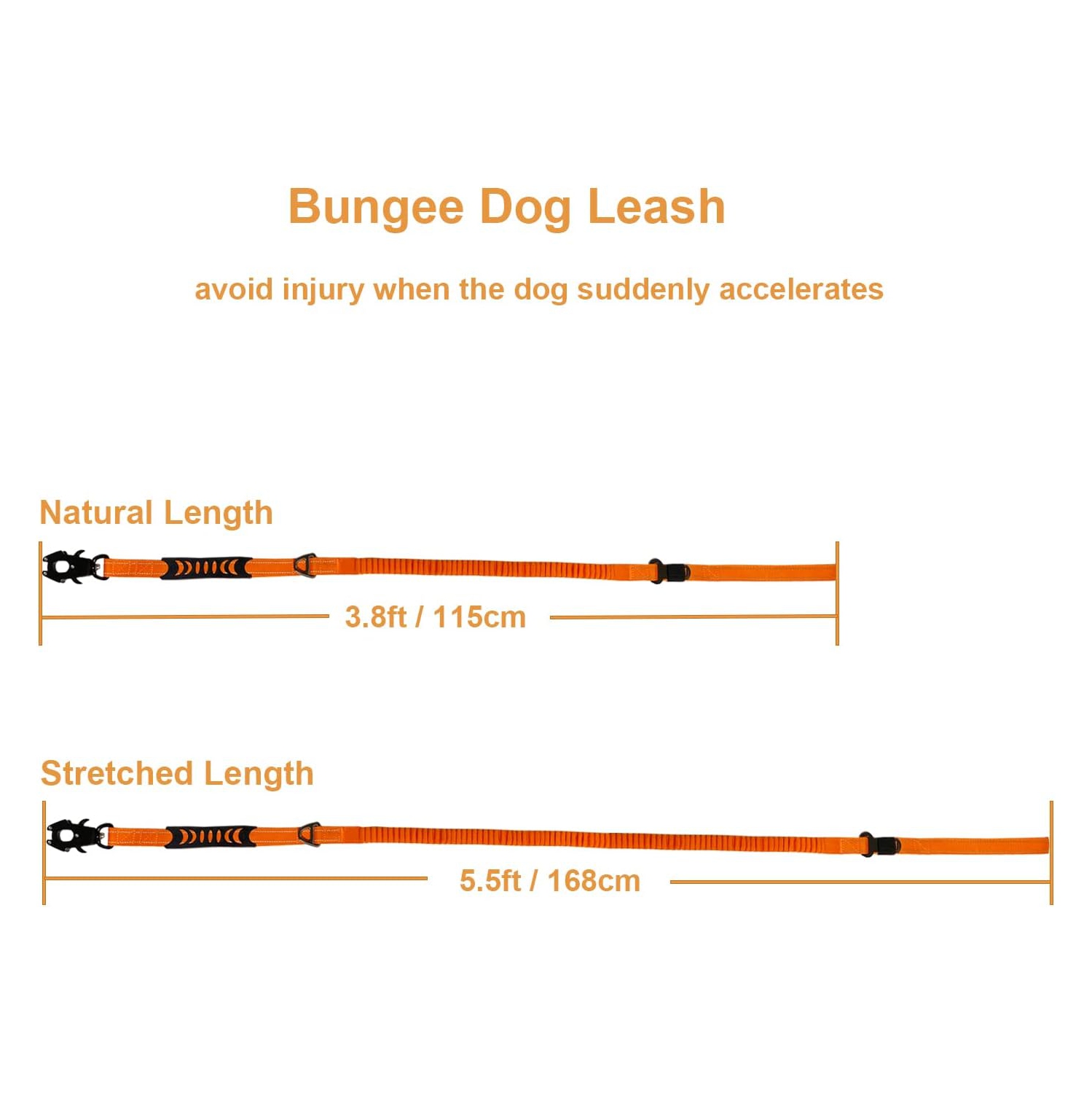 Pet Leash- Elastic Shock Absorption, Car Seat Belt Clip and Highly Reflective Thread, Double Safety Lock, 1.16-1.65M，Suitable for Medium Dogs,