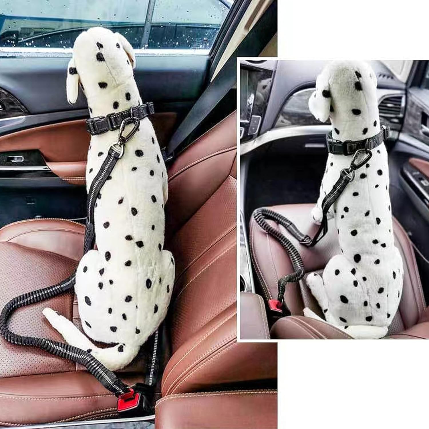 Pet Leash - Elastic Shock Absorption, Reflective Padded Handle, with Car Seat Belt Clip, Adjustable Dog Leash, Suitable for Medium-Sized Dogs and