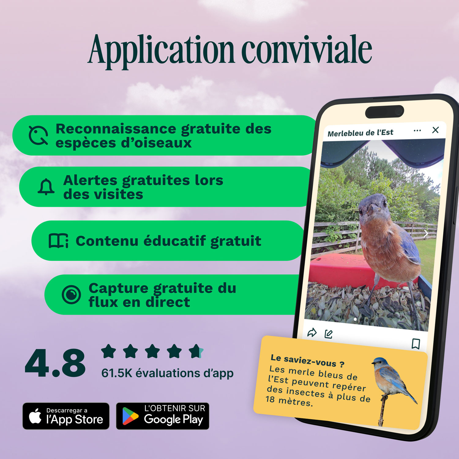 Mangeoire à oiseaux intelligente à énergie solaire Pro avec caméra et extension de perchoir de Bird Buddy - Bleu - Partenaire de détail exclusif