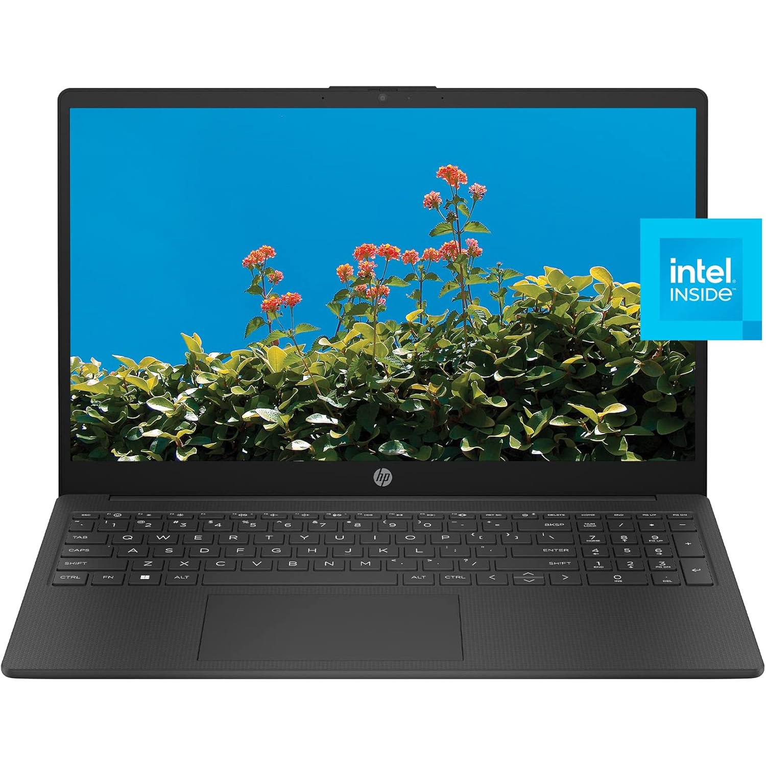 Neuf - Portable de 15,6 po FHD de HP, RAM 32 Go, UHD d’Intel, 256 Go = 128 Go UFS + 128 Go USB, Windows 11 + Office 365 + nouveau Copilot AI et