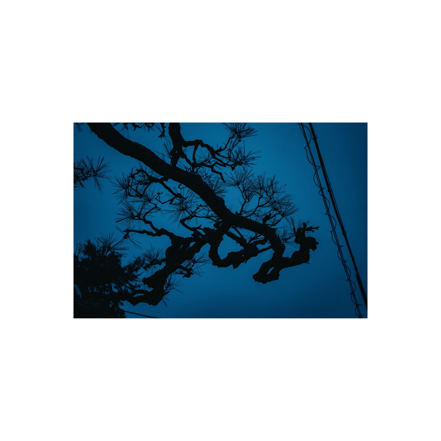 Sigma 17-40mm f/1.8 DC Art Lens with Backpack and Memory Card Bundle