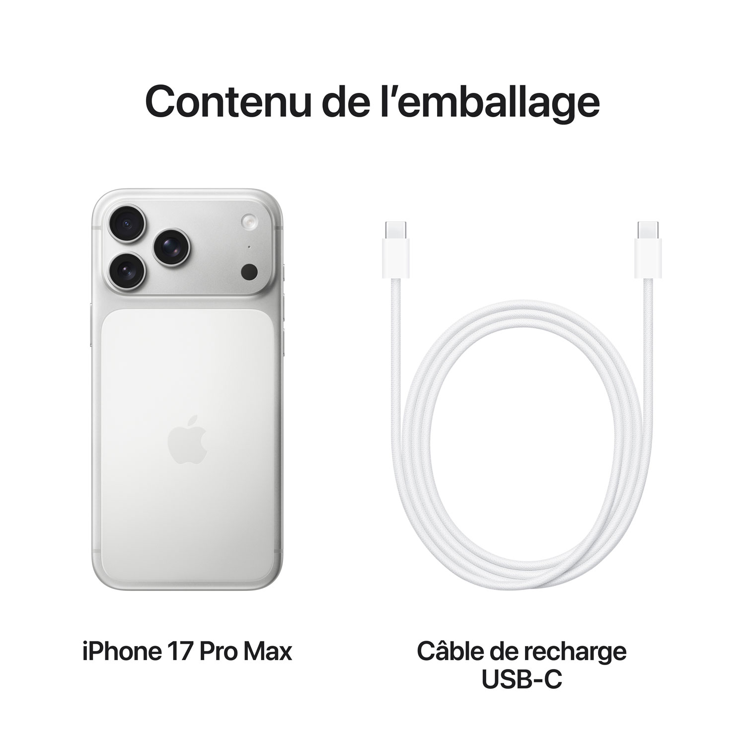 iPhone 17 Pro Max de 2 To d'Apple - Argenté - Déverrouillé
