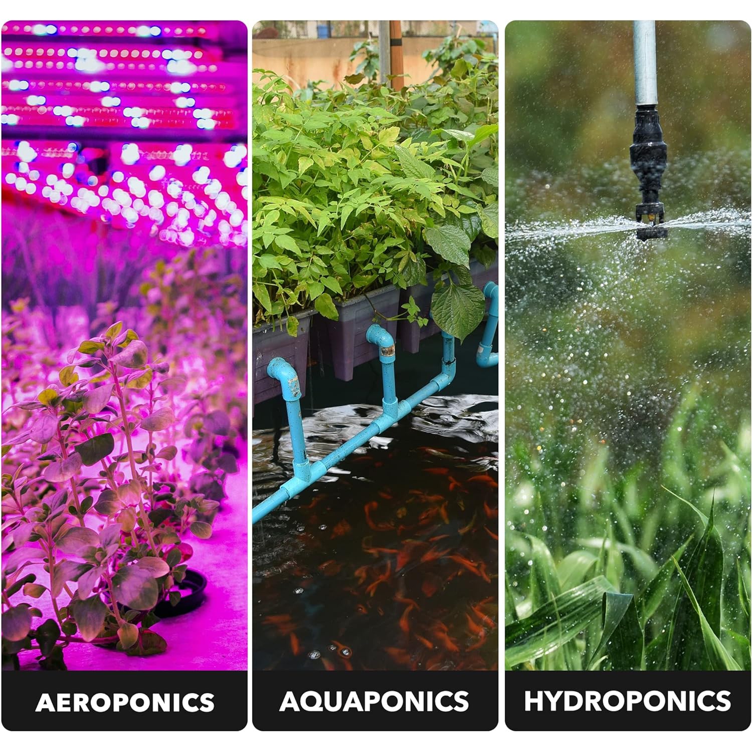 BN-LINK Short Cycle Timer, 24H/Day/Night, Photocell, Hydro/Aquaponic/Aeroponic