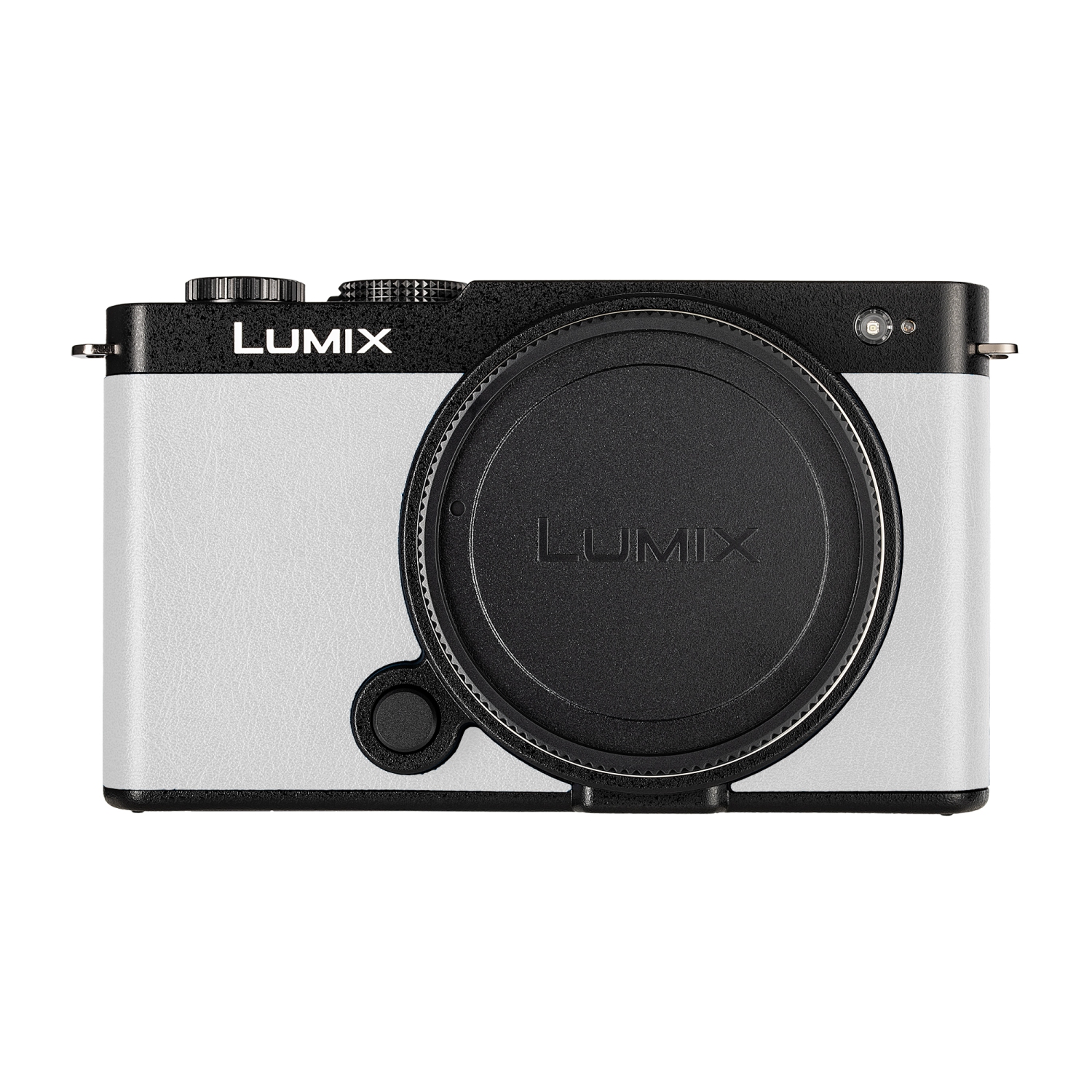 Appareil photo Lumix S9Camera de Panasonic, carte mémoire SDXC UHS-II série Tough SF-M de 64&nbsp;Go