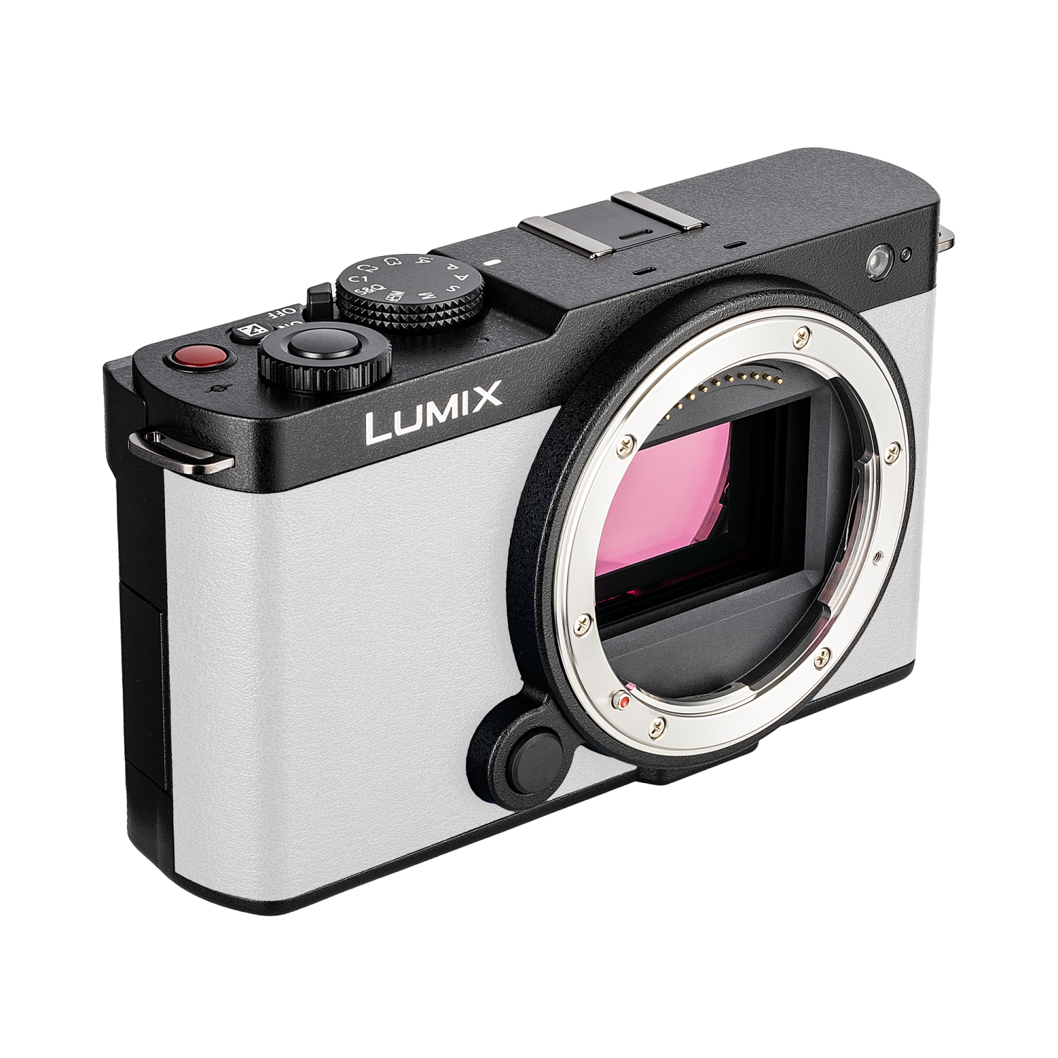 Appareil photo Lumix S9Camera de Panasonic, carte mémoire SDXC UHS-II série Tough SF-M de 64&nbsp;Go