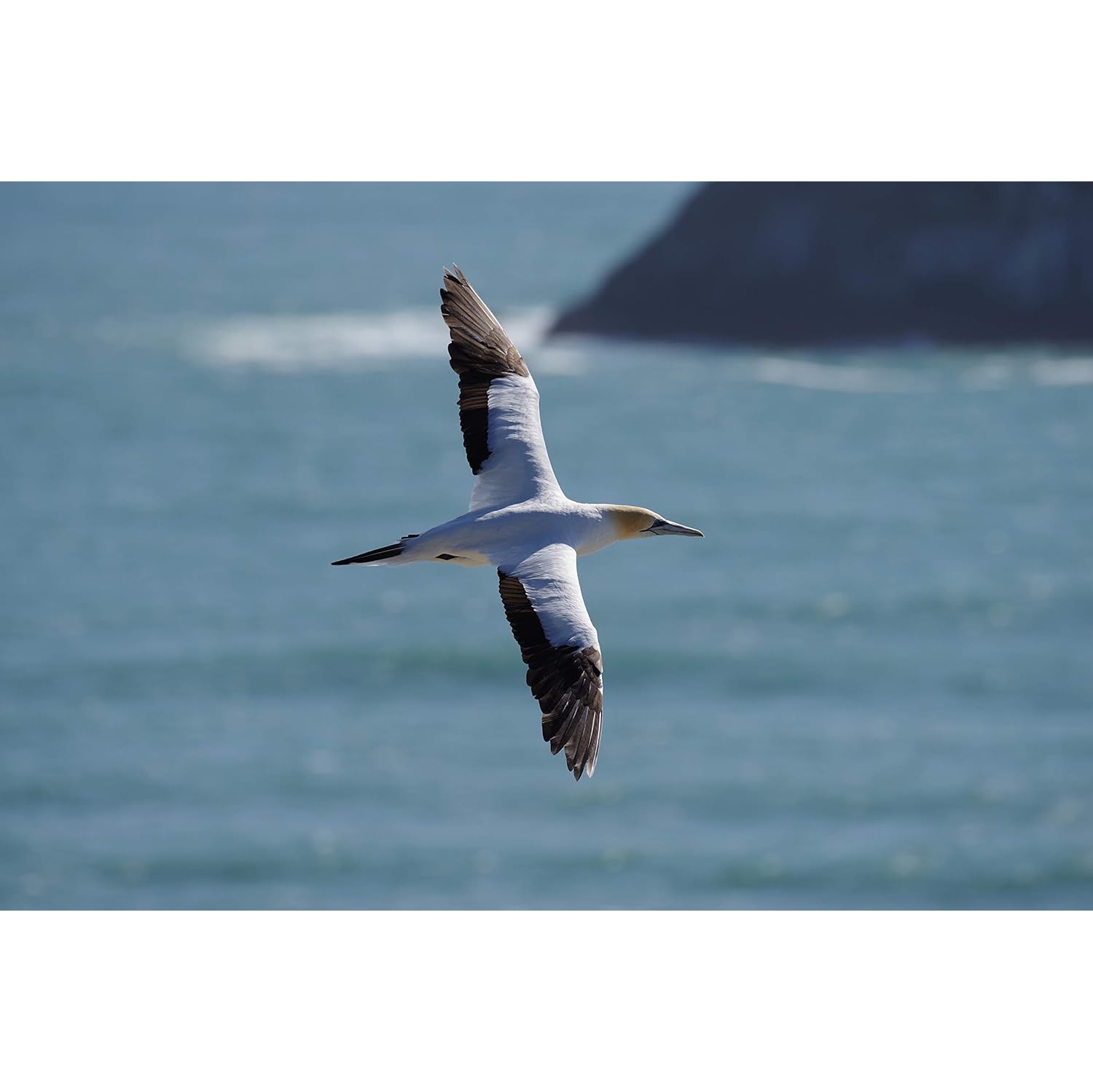 Pentax K-1 Mark II Full-Frame DSLR Camera Body 36.4MP 5-Axis Shake Reduction II Pixel Shift Wi-Fi GPS – Open Box