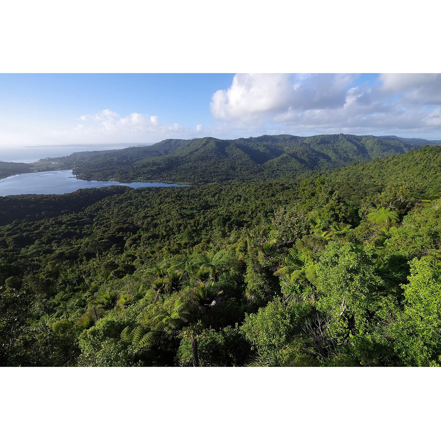 Pentax K-1 Mark II Full-Frame DSLR Camera Body 36.4MP 5-Axis Shake Reduction II Pixel Shift Wi-Fi GPS – Open Box