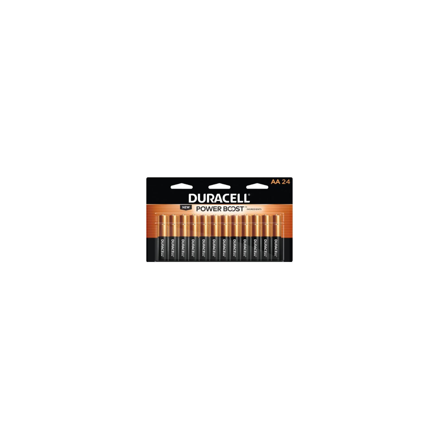 Duracell AA-24 Battery