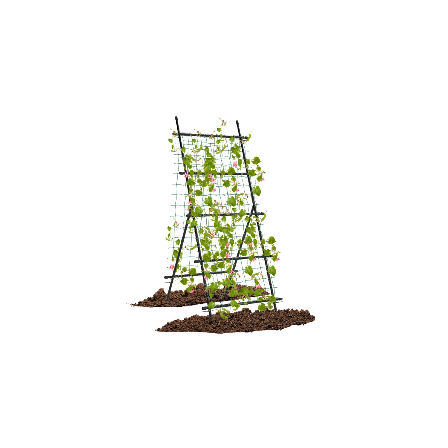 Heavy-Duty Garden Trellis with PE-Coated Frame – Ideal for Cucumbers & Vines