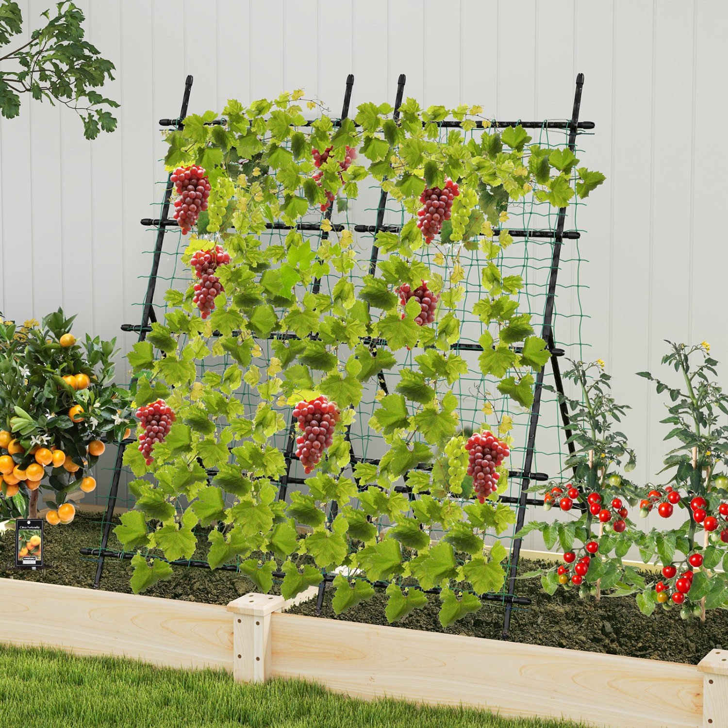 Heavy-Duty Garden Trellis with PE-Coated Frame – Ideal for Cucumbers & Vines