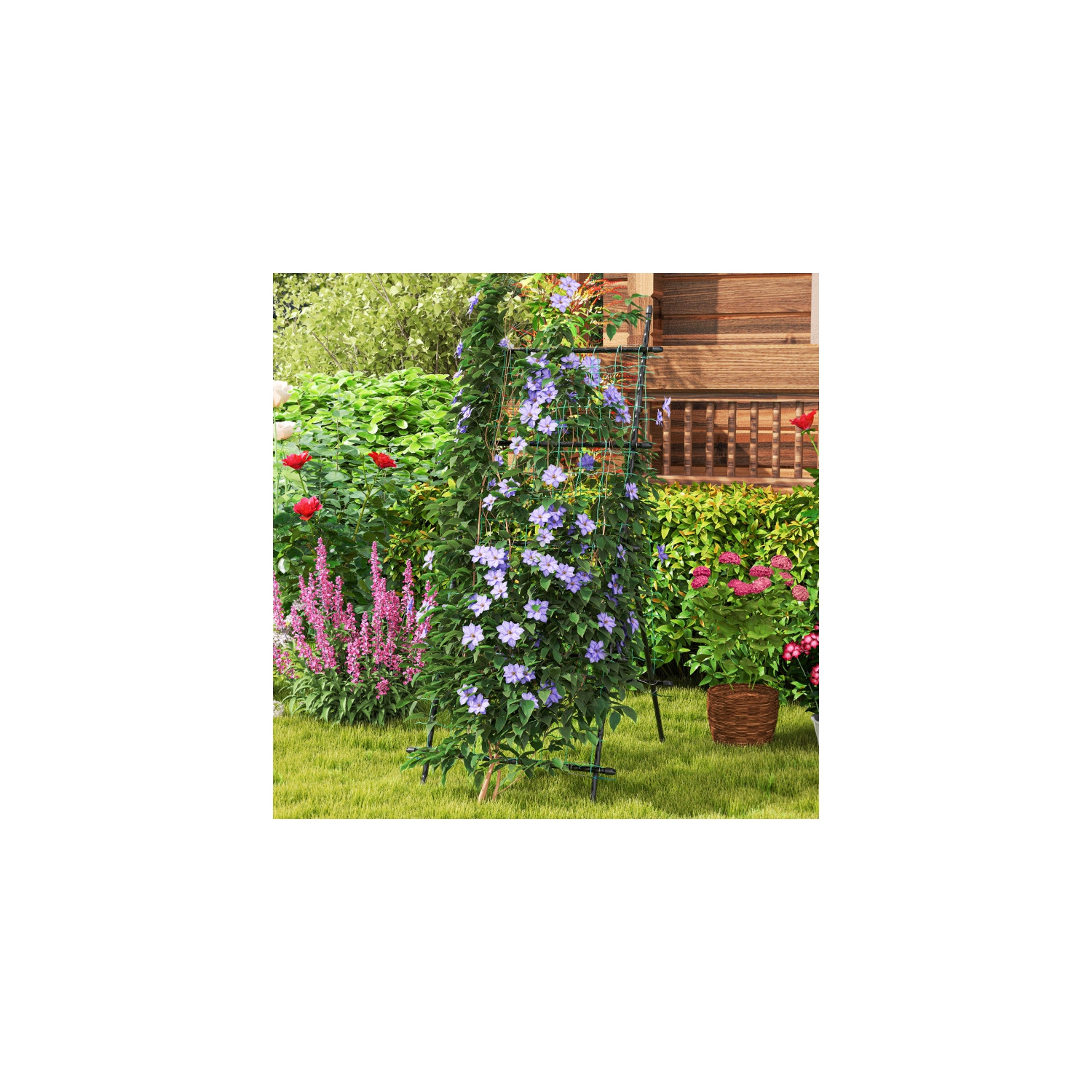 Heavy-Duty Garden Trellis with PE-Coated Frame – Ideal for Cucumbers & Vines