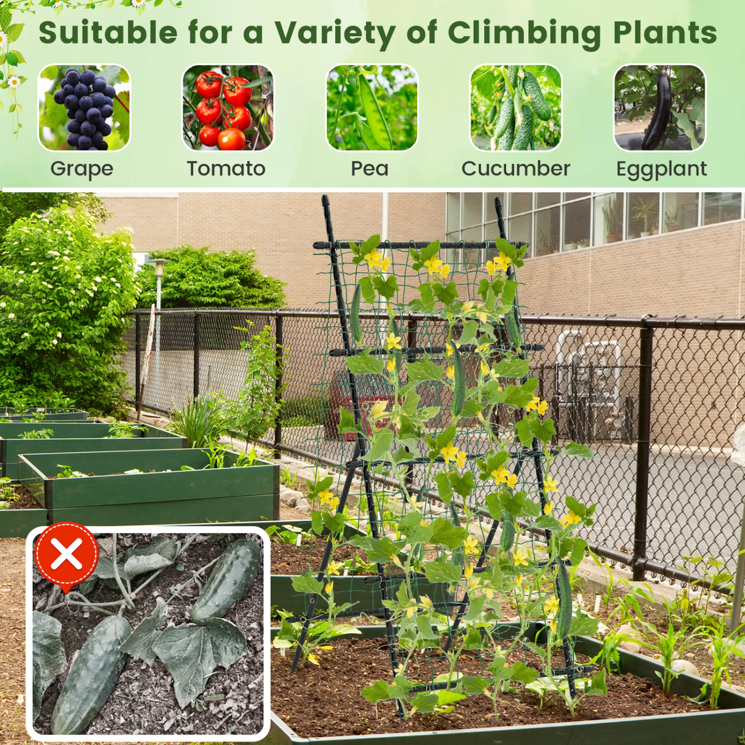 Heavy-Duty Garden Trellis with PE-Coated Frame – Ideal for Cucumbers & Vines