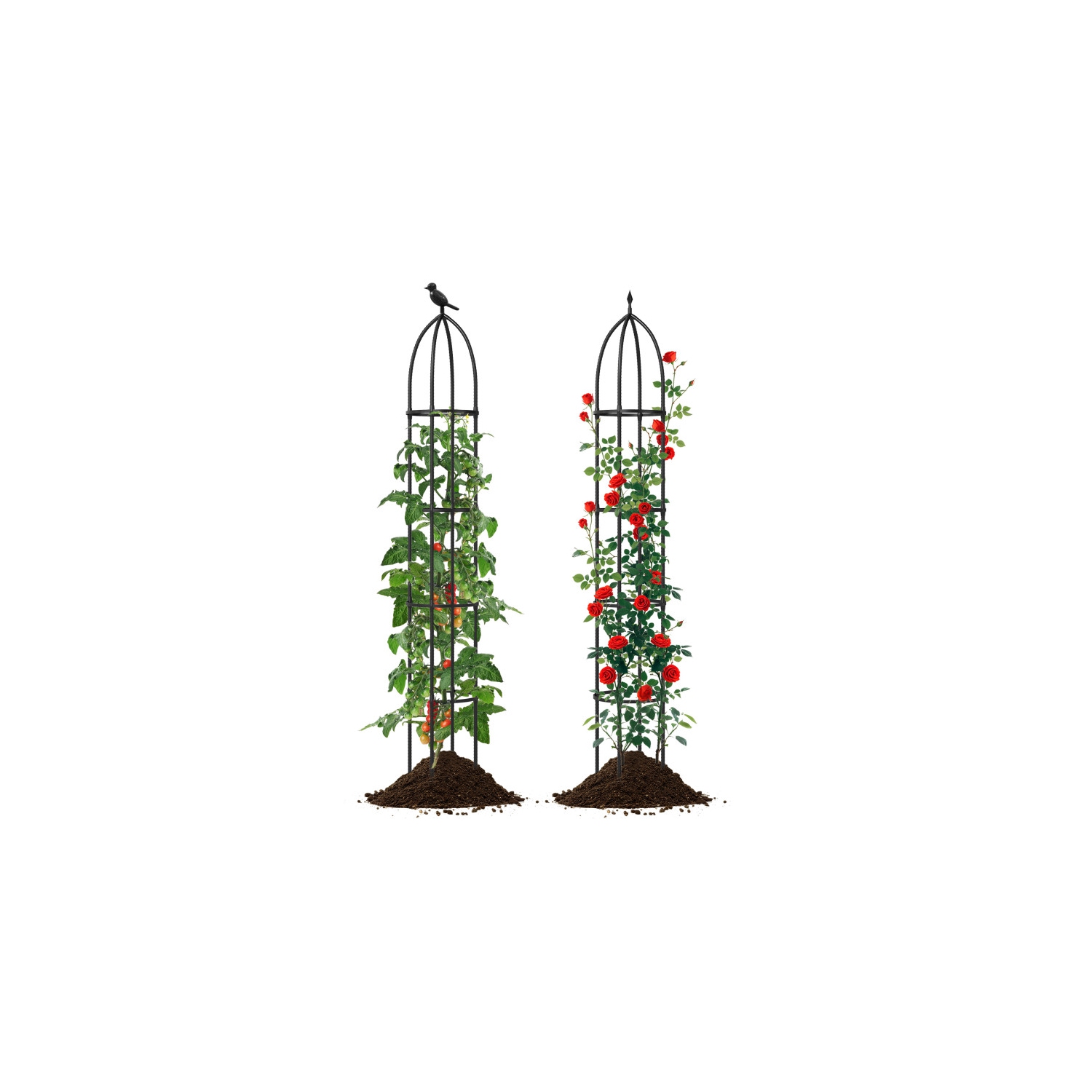Metal Obelisk Trellis 2-Pack for Climbing Roses, Cucumbers & Flowering Vines