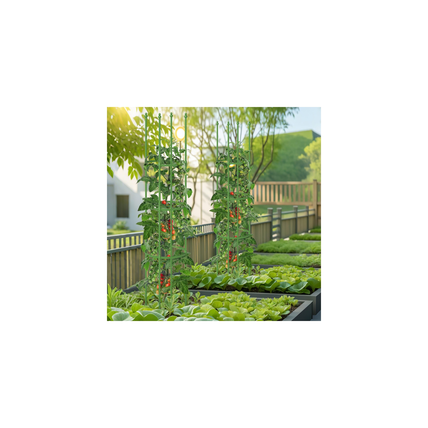 Set of 2 Tomato Cages with Adjustable Trellis Support for Plants & Flowers