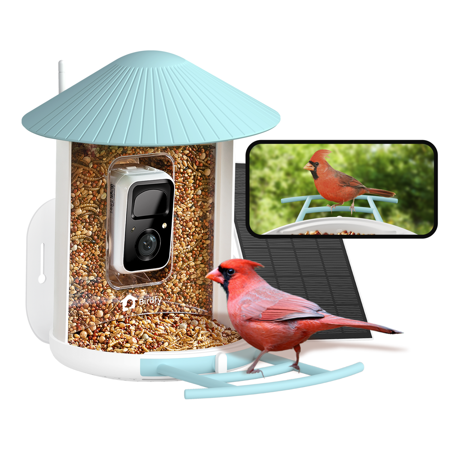 Birdfy Smart Feeder with Camera Solar Powered - Blue