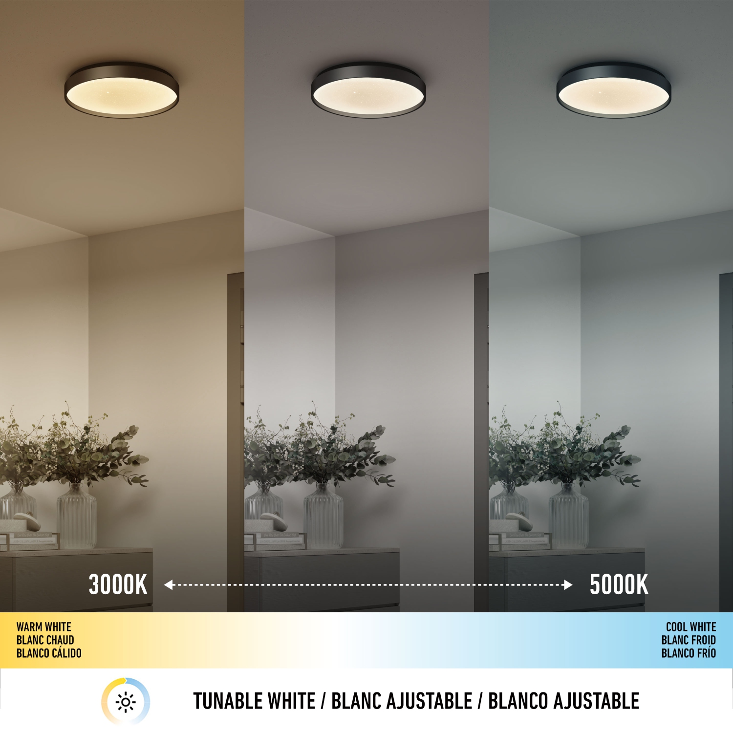 Celestia FM with Remote Black