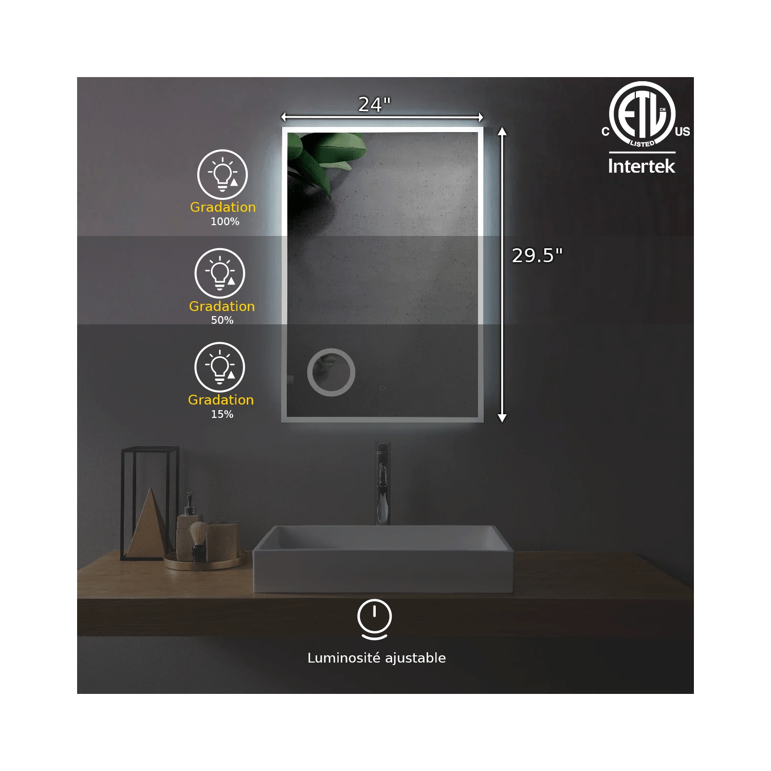 Miroir DE SALLE DE BAIN DE 24 po LED M-1039 avec loupe de la collection SERA - givré