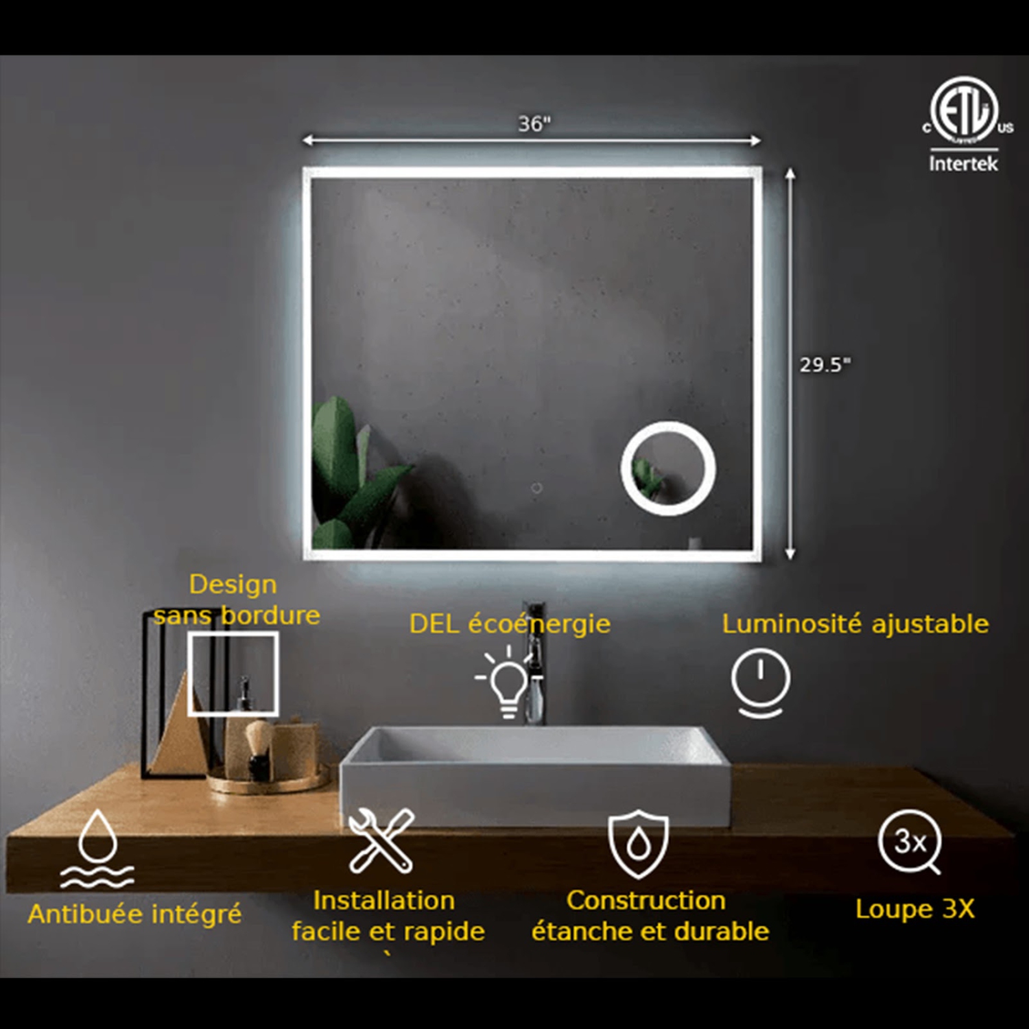 Miroir DE SALLE DE BAIN DE 36 po LED M-1039 avec loupe de la collection SERA - givré