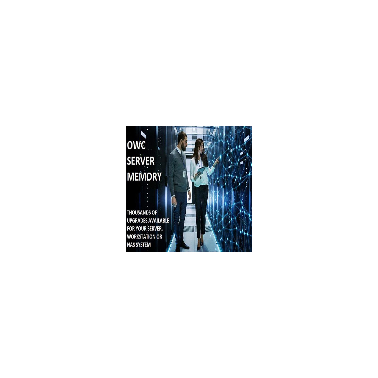 OWC 256GB DDR4 3200 PC4-25600 CL22 2Rx4 288-pin 1.2V ECC Registered RDIMM Memory RAM Compat with HP ProLiant DL345 DL360DL365 DL380 (All Gen10 Plus)