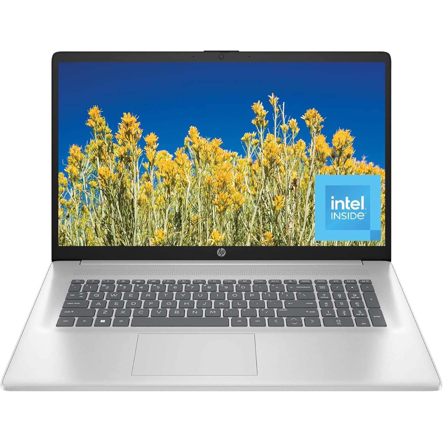 HP 17.3" HD Intel Core i3-N305 8GB 512GB Intel UHD Graphics Windows 11 Silver Refurbished Good