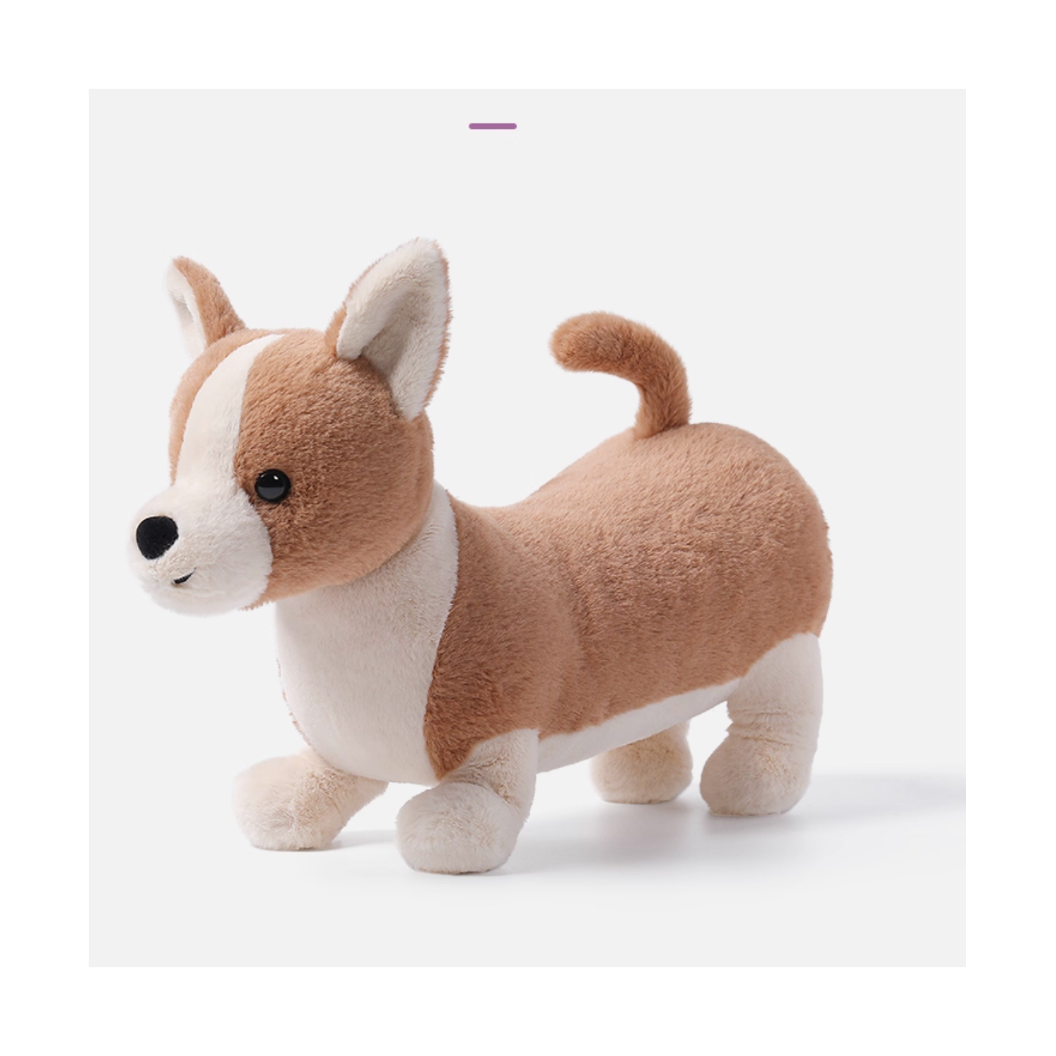 McHugs Peachy Butt Corgi