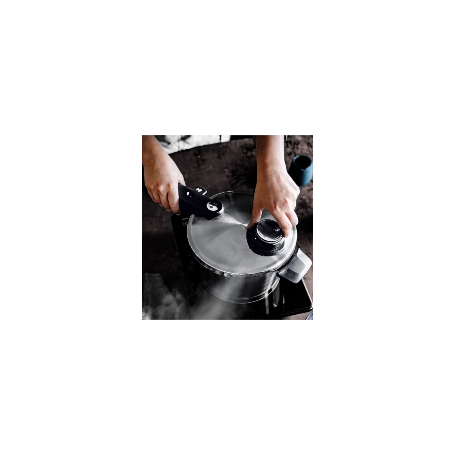 Fissler , Vitavit Premium Pressure Cooker 8 L , Silver