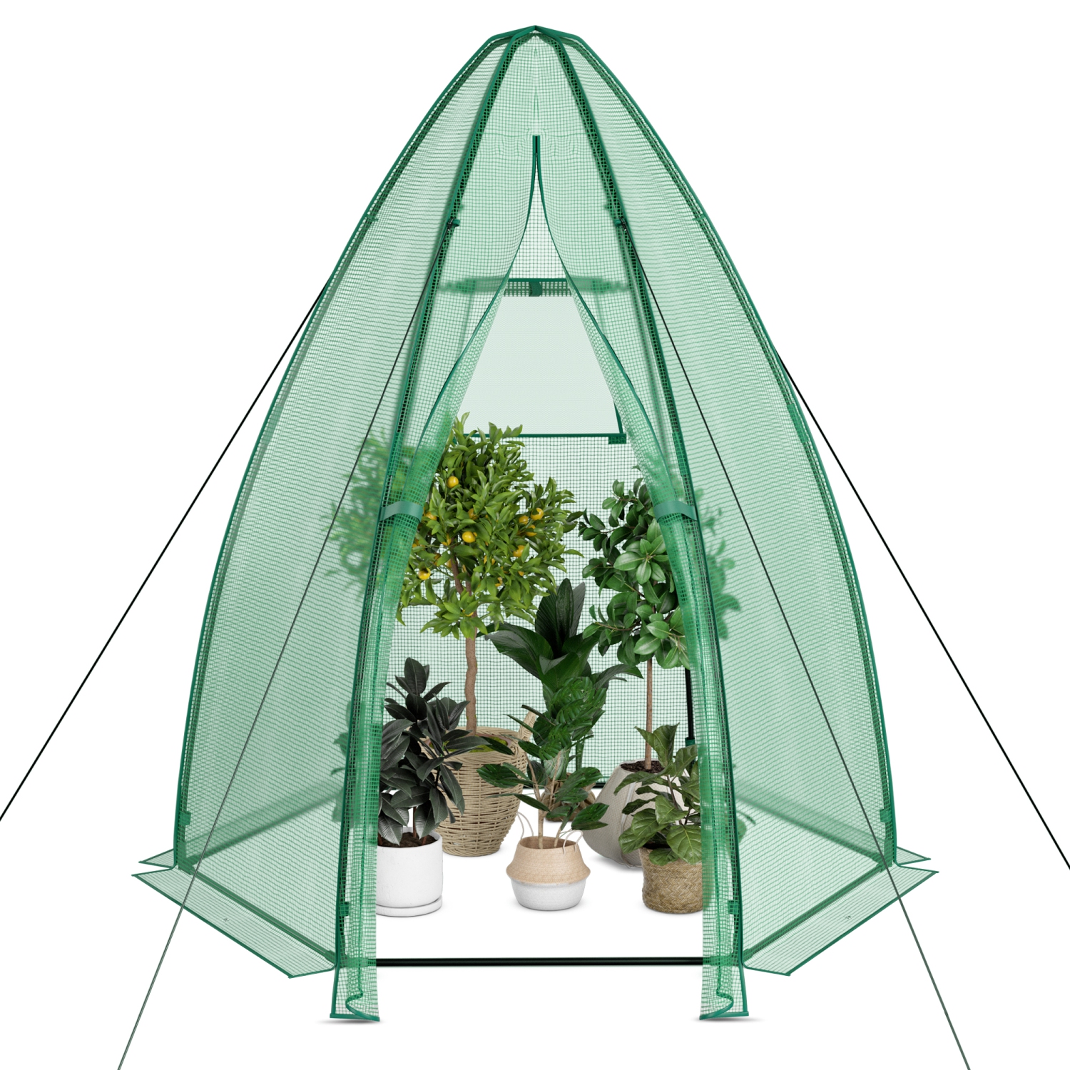Mini Greenhouse with Portable Design and All-Weather PE Cover