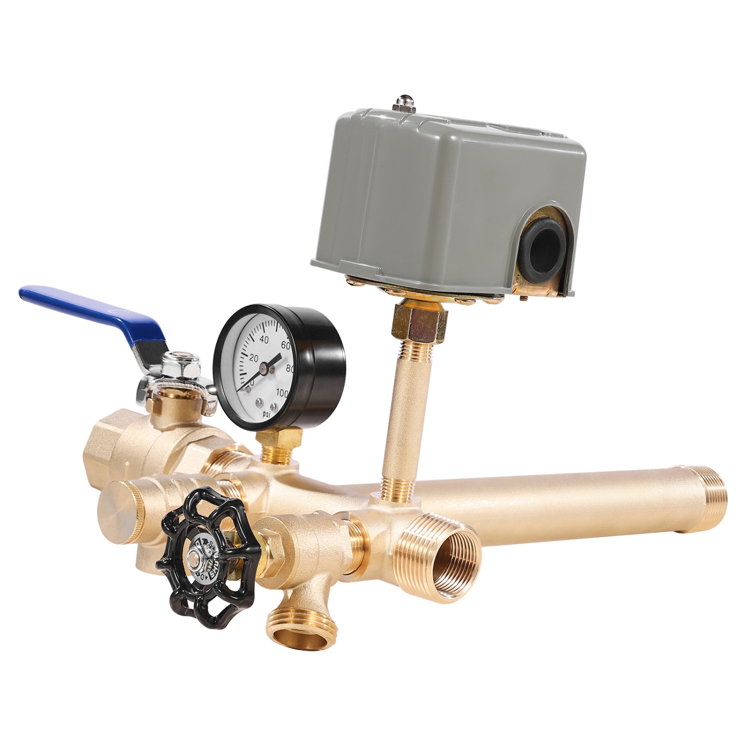 VEVOR 1" x 11" Well Pressure Tank Tee Kit, with 40/60PSI Switch, 8-Pieces Pure Brass Pressure Tank Installation Kit, 1 in Gate Valve Included, Fit