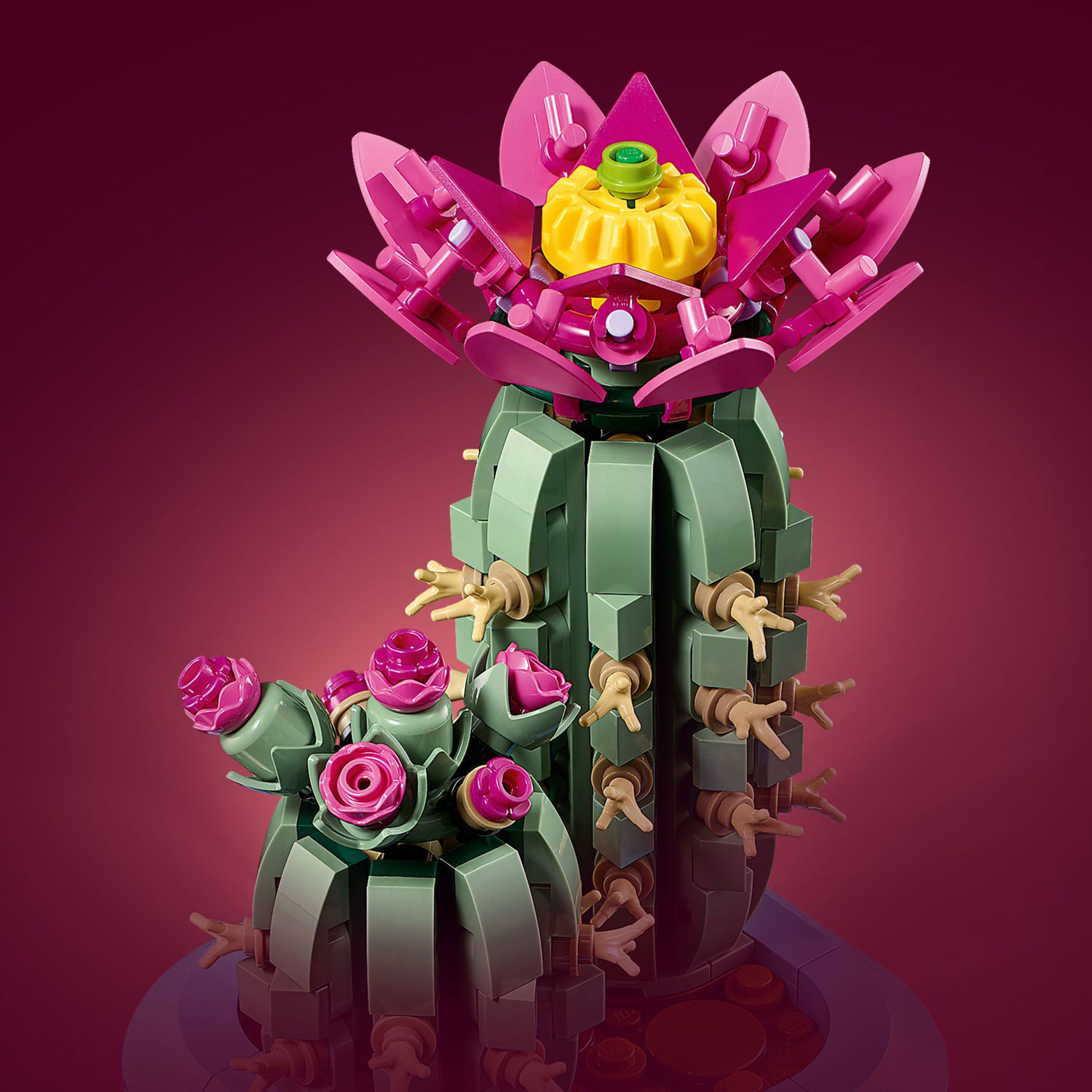 LEGO Botanicals: Flowering Cactus - 482 Pieces