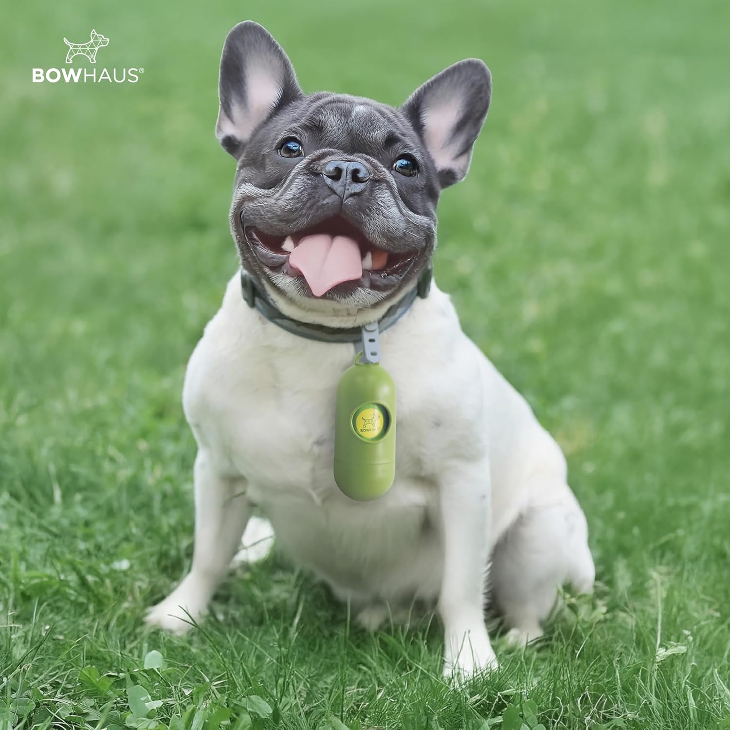 Sacs pour chiens extra épais de 9 x 13&nbsp;po de CAPHAUS avec distributeur, rouleaux de rechange faciles à ouvrir pour sacs pour animaux, 600 unités