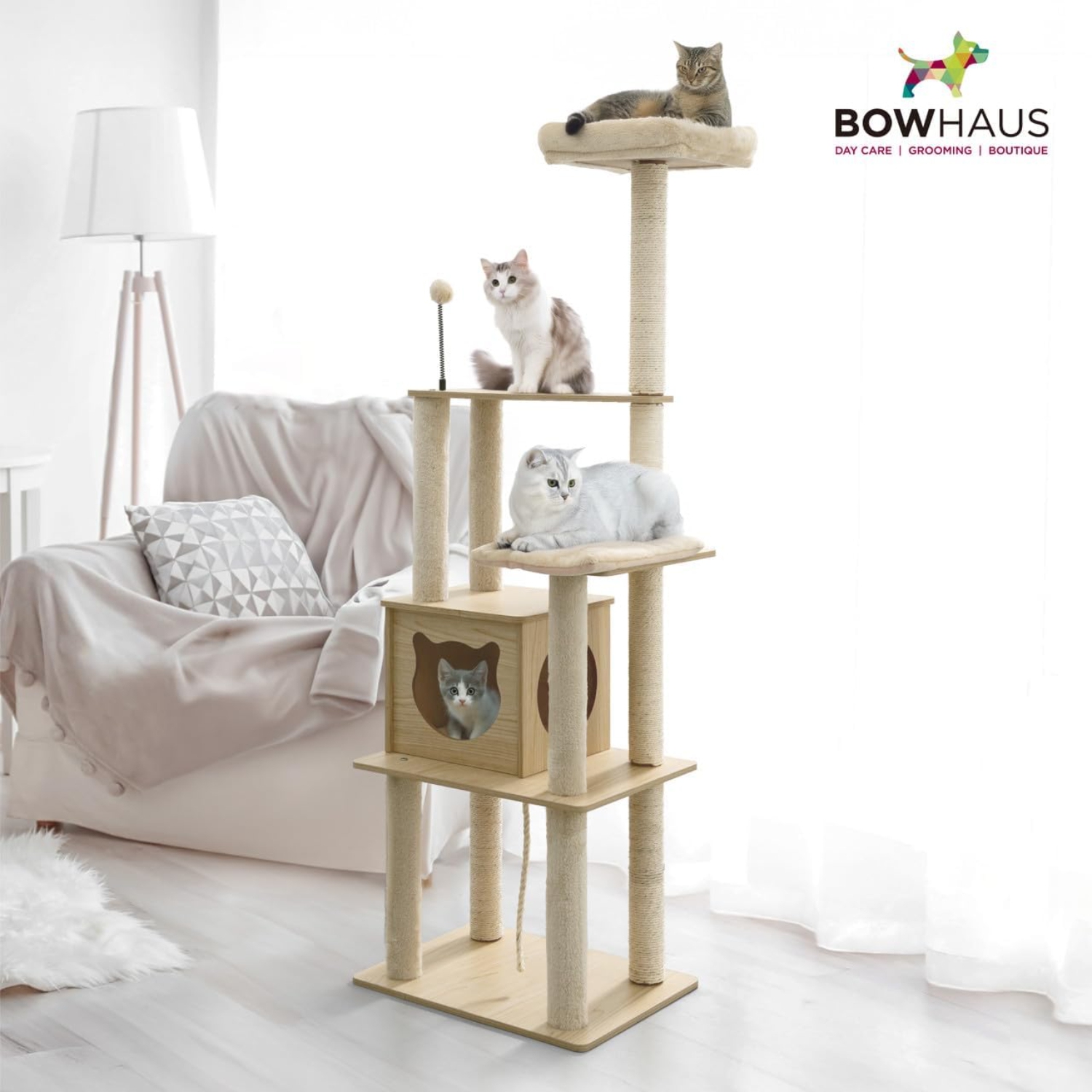 Arbre à chats multiniveau de 65&nbsp;po de CAPHAUS