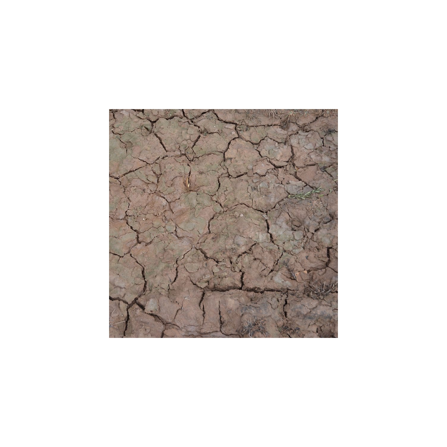 AK Interactive Wet Crackle Effects 100&nbsp;ml Nouveau