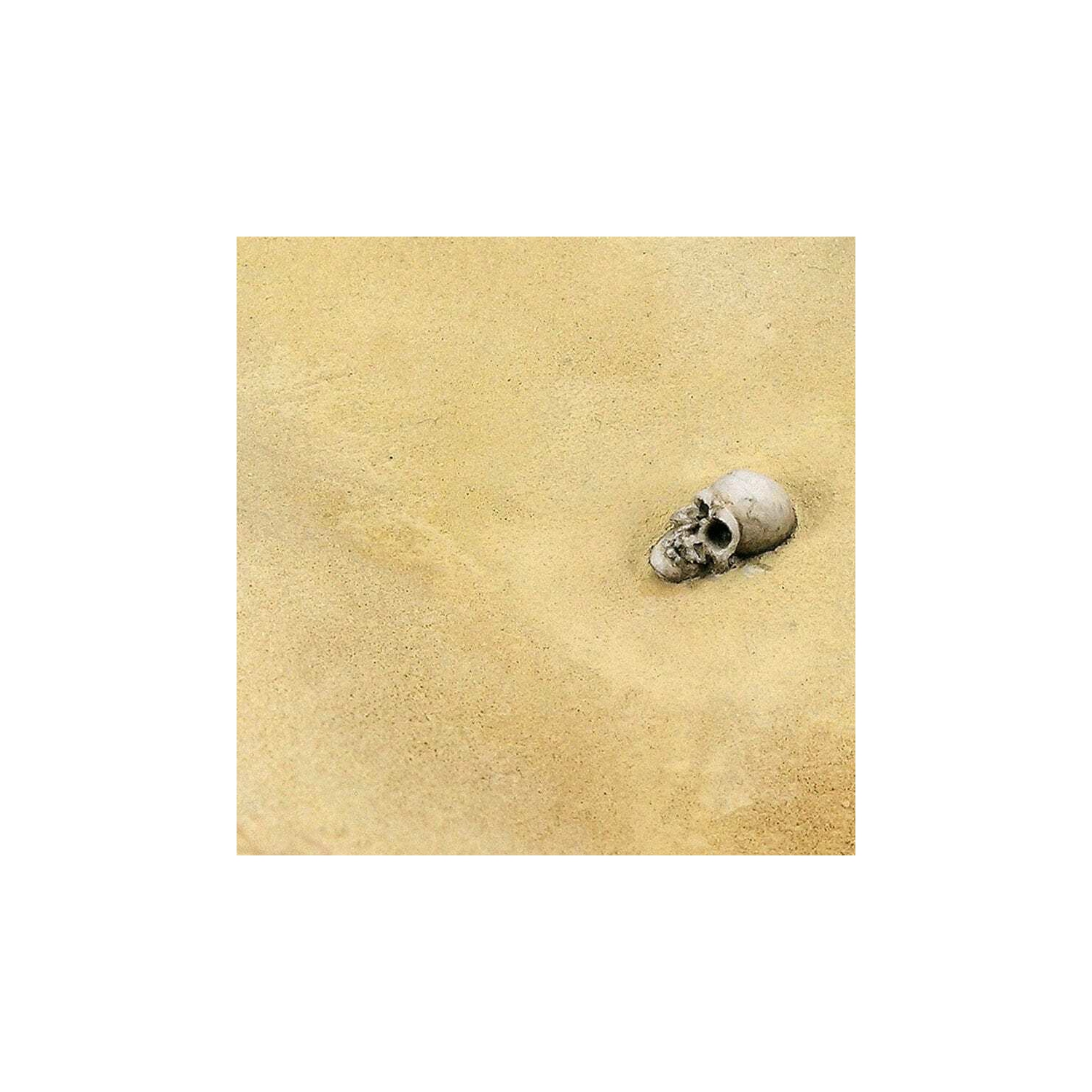 AK Interactive Terrains Desert Sand - 250ml New