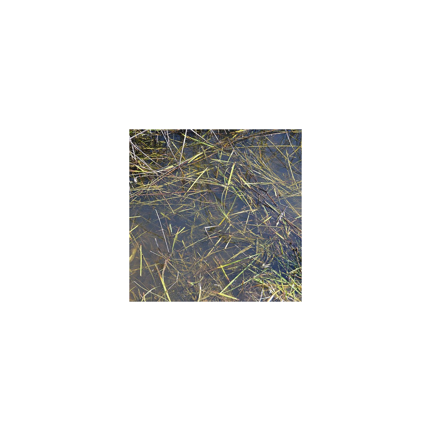 AK Interactive Still Water 250ml New