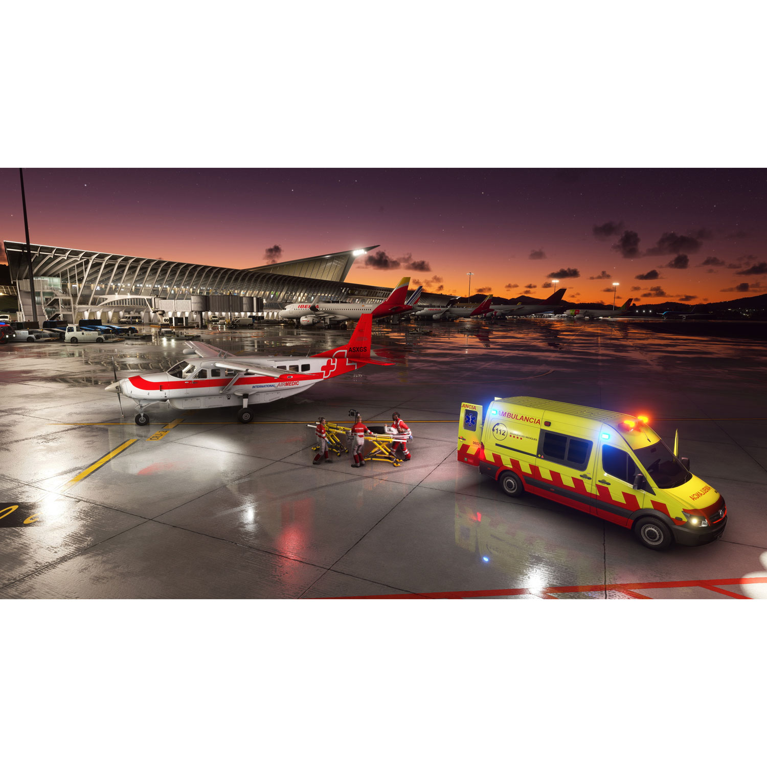 Microsoft Flight Simulator 2024 édition standard