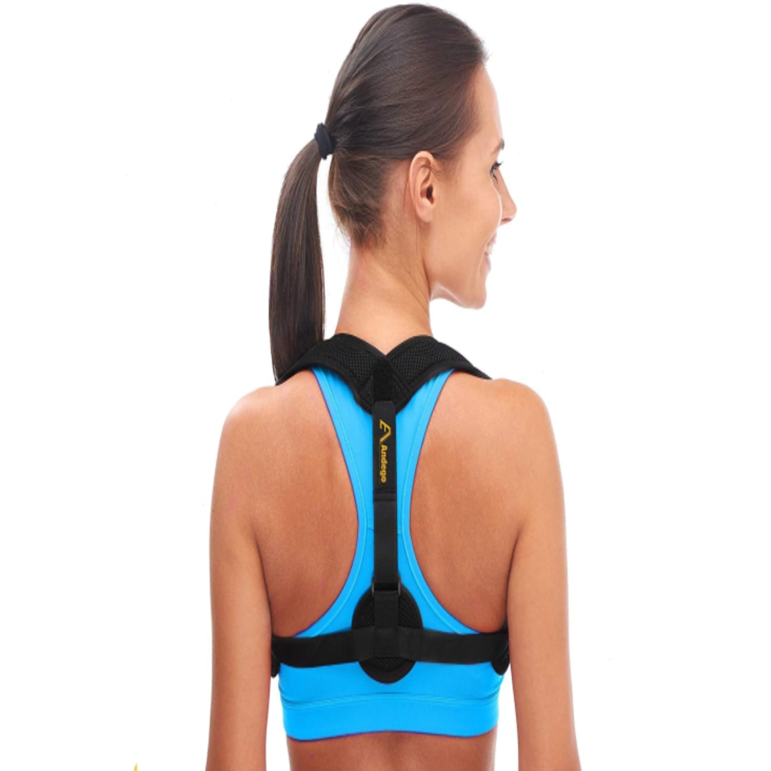 Animalia: Volume 1 - [DVD]