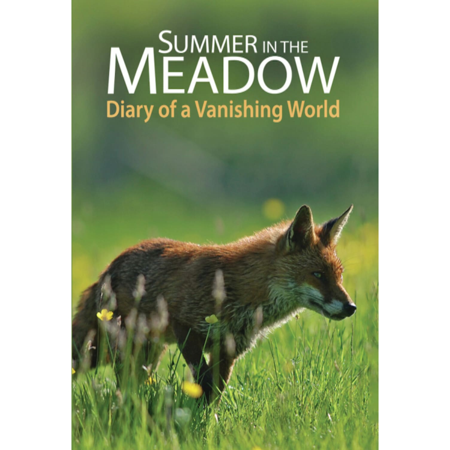 Summer In The Meadow: Diary Of A Vanishing World - - [DVD]
