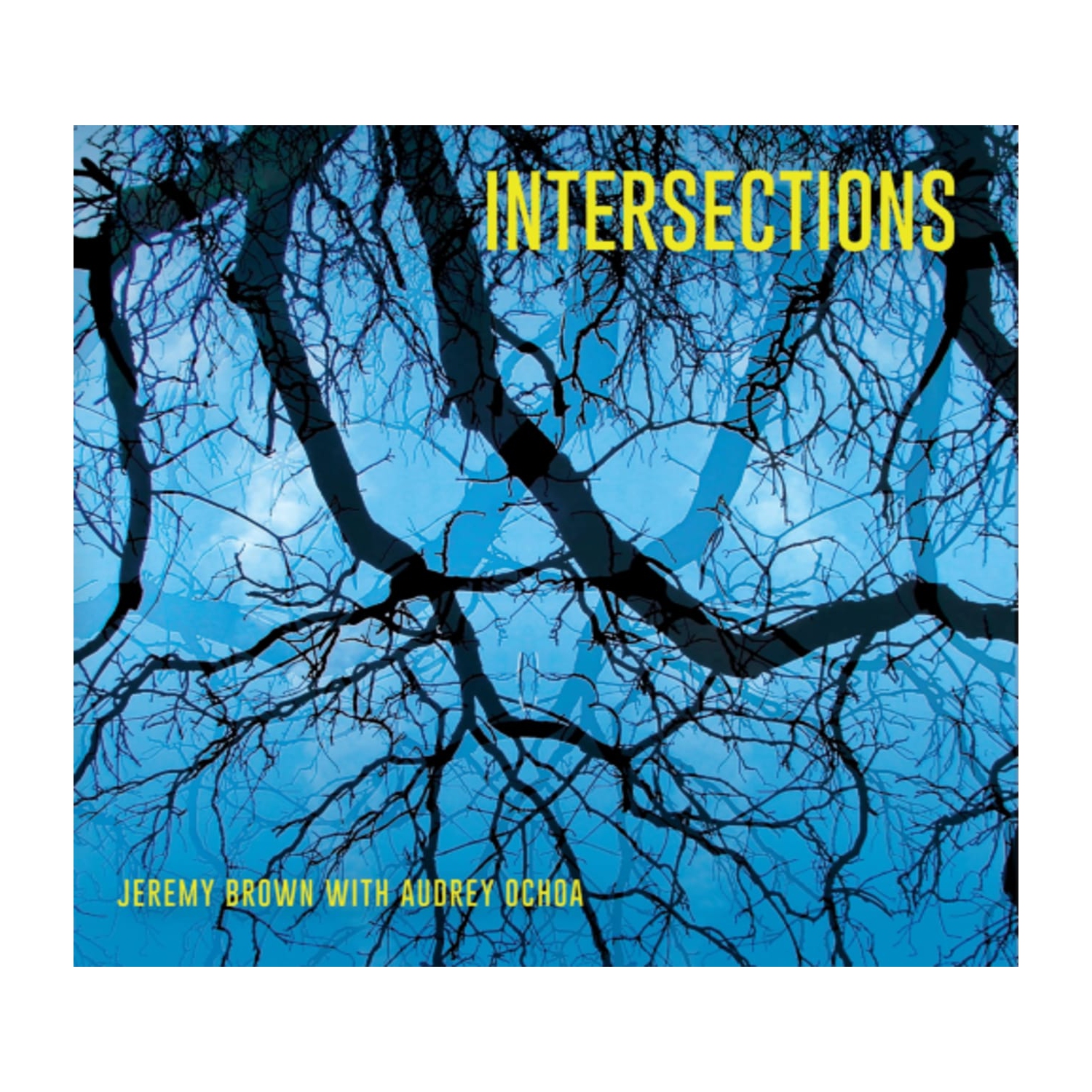 Jeremy Brown & Audrey Ochoa - Intersections - [CD]