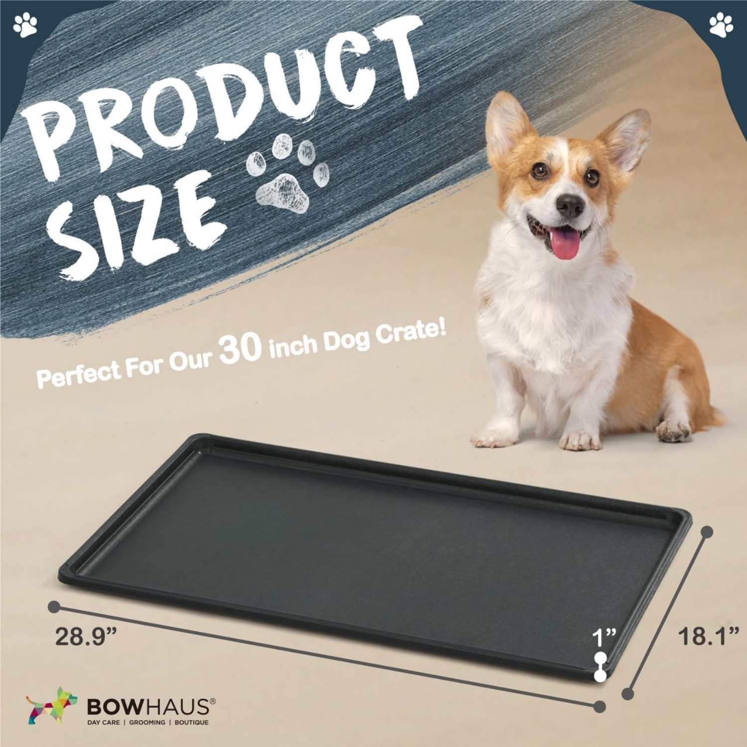 BOWHAUS 28.9-Inch Dog Crate Pan Replacement, Sturdy, Waterproof Plastic Tray for 30-Inch Pet, Rabbit Ferret Critter Kennels, Versatile Pan and Easy