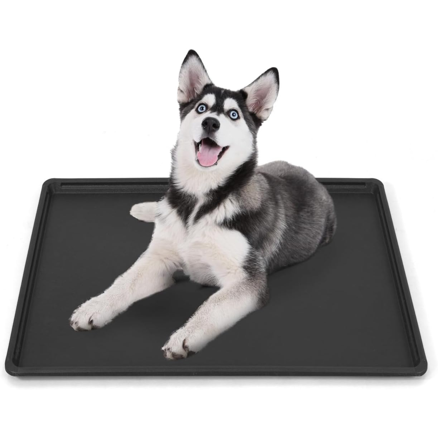 BOWHAUS 41-Inch Dog Crate Pan Replacement, Sturdy, Waterproof Plastic Tray for 42-Inch Pet, Rabbit Ferret Critter Kennels, Versatile Pan and Easy to