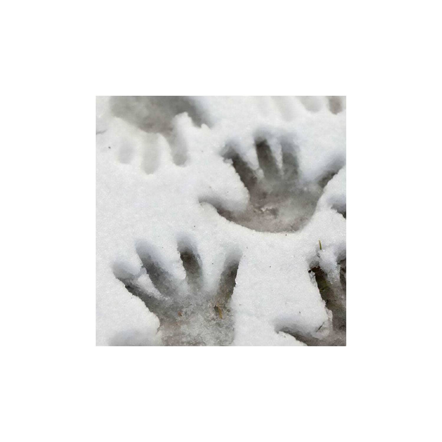 AK Interactive Ice Sparkles - 100 ml Nouveau