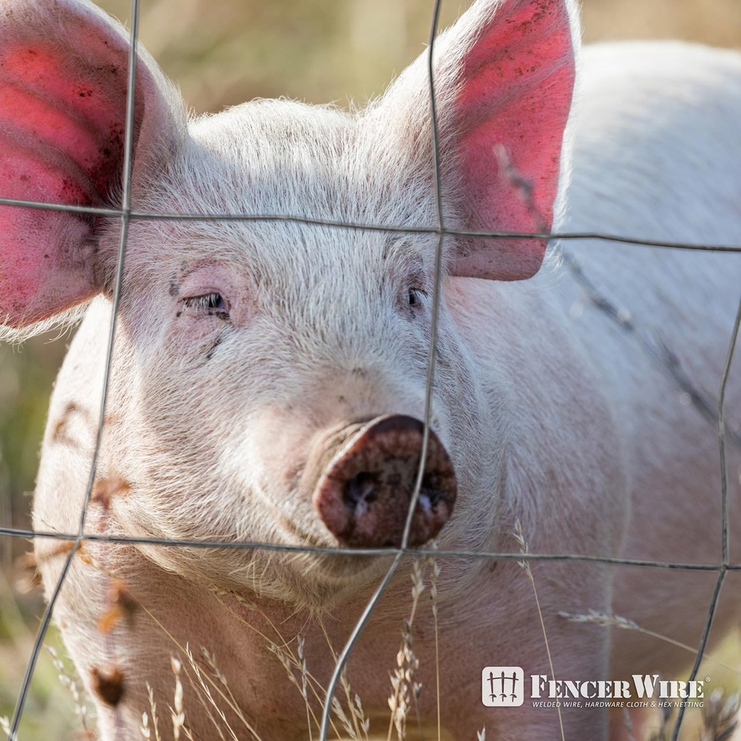 Fencer Wire Welded Wire Fence 12.5 Gauge, Galvanized Welded Fence Wire Roll, Mesh Size 4-Inch x 4-Inch,