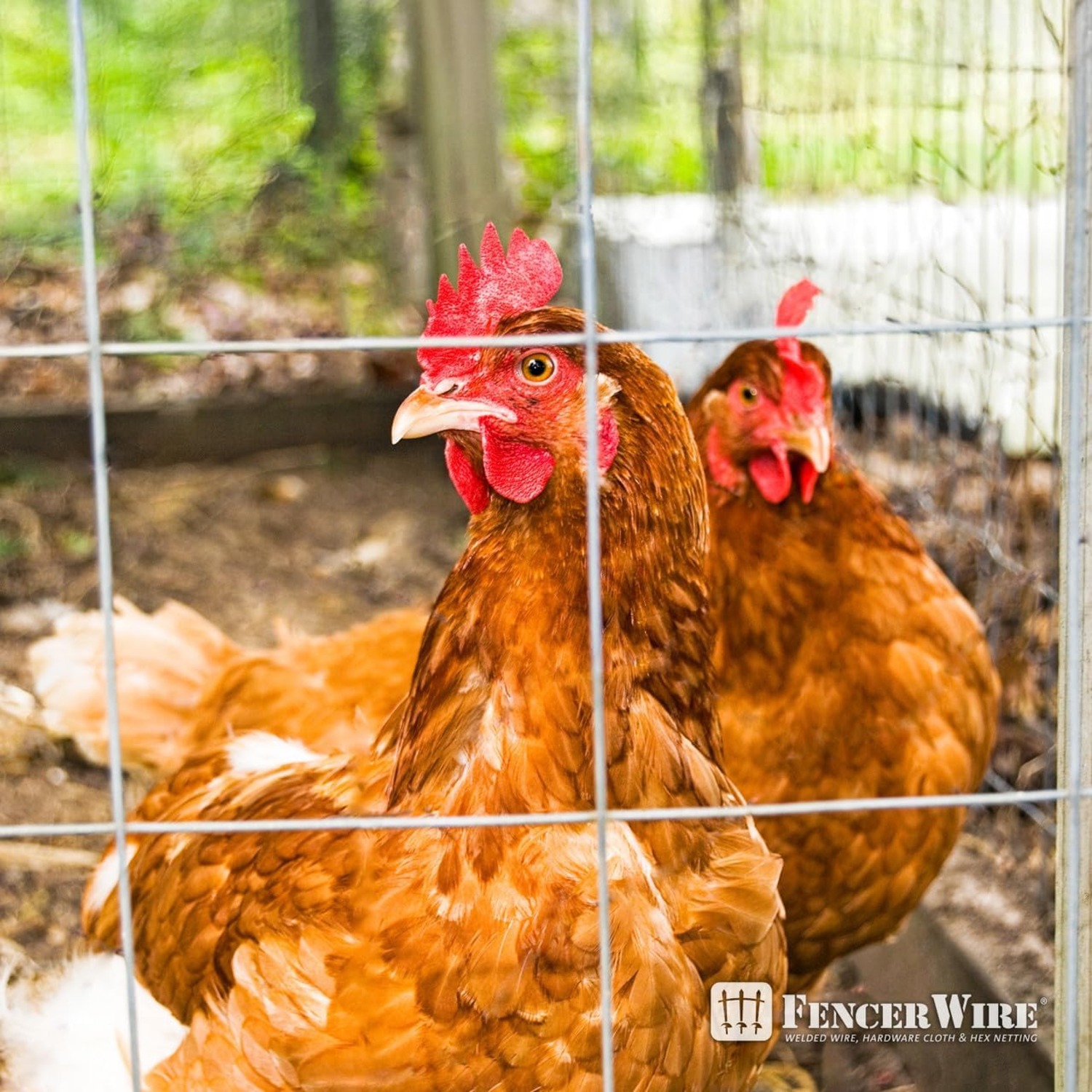 Fencer Wire Welded Wire Fence 12.5 Gauge, Galvanized Welded Fence Wire Roll, Mesh Size 4-Inch x 4-Inch