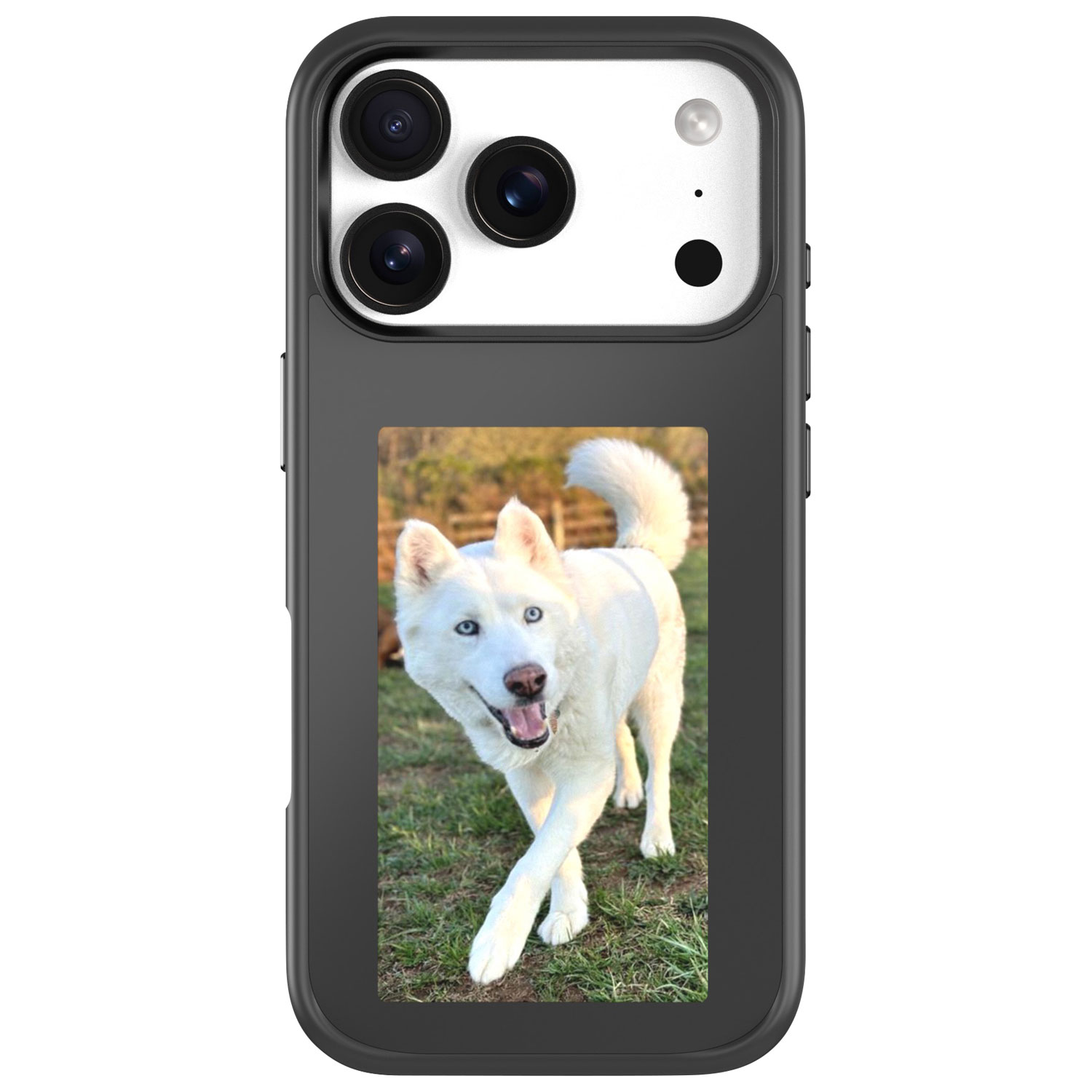 Incase Transfer E-Display Fitted Hard Shell Case with MagSafe for iPhone 17 Pro - Black - Only at Best Buy