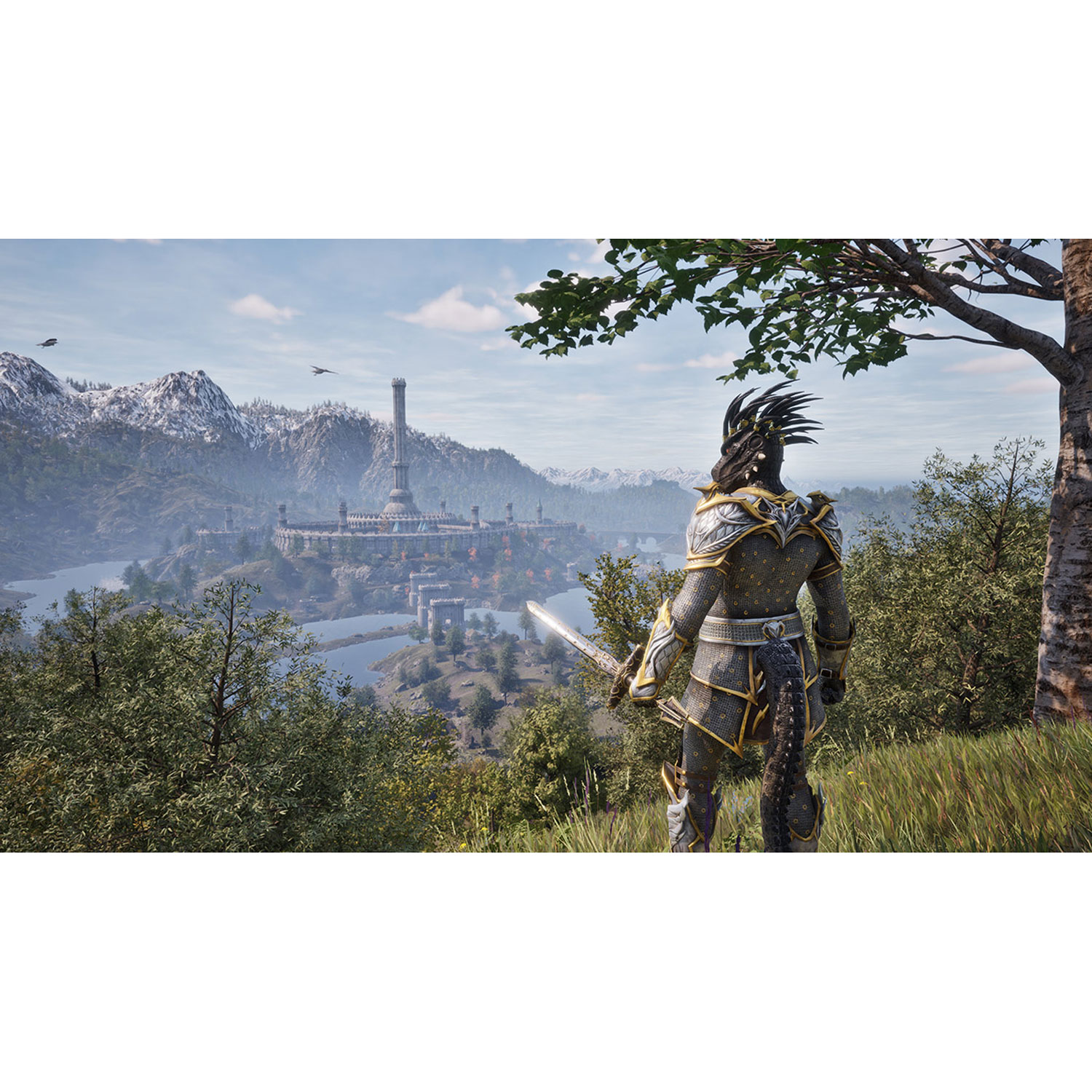 The Elder Scrolls IV: Oblivion Remastered édition de luxe