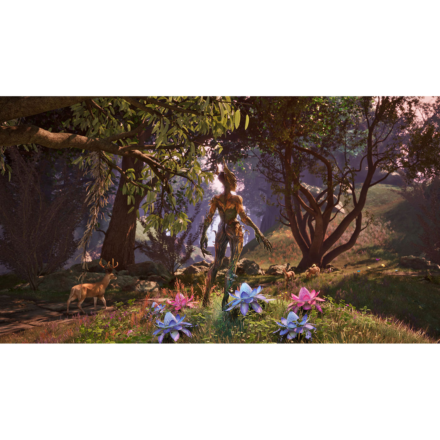 The Elder Scrolls IV: Oblivion Remastered édition de luxe