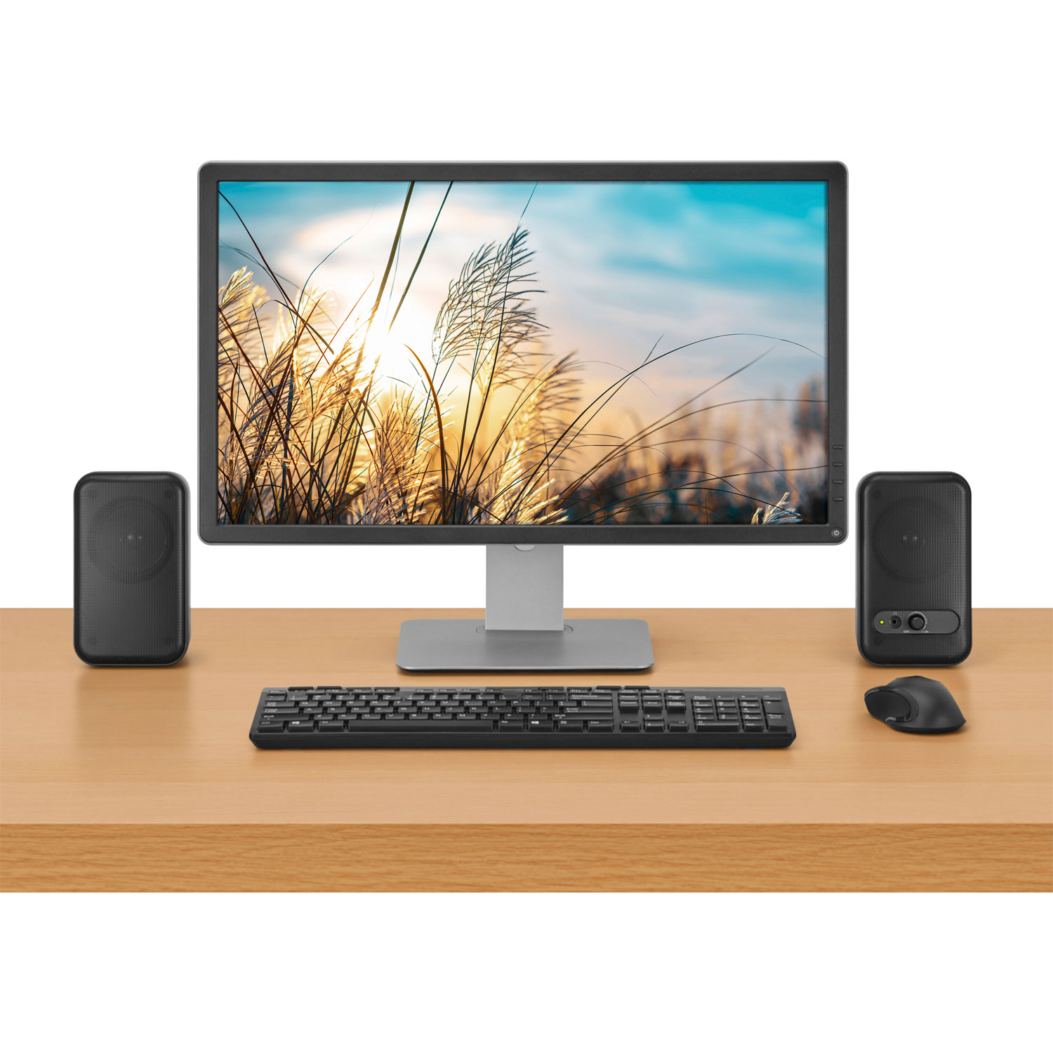 Insignia 2.0 Computer Speaker System - Only at Best Buy