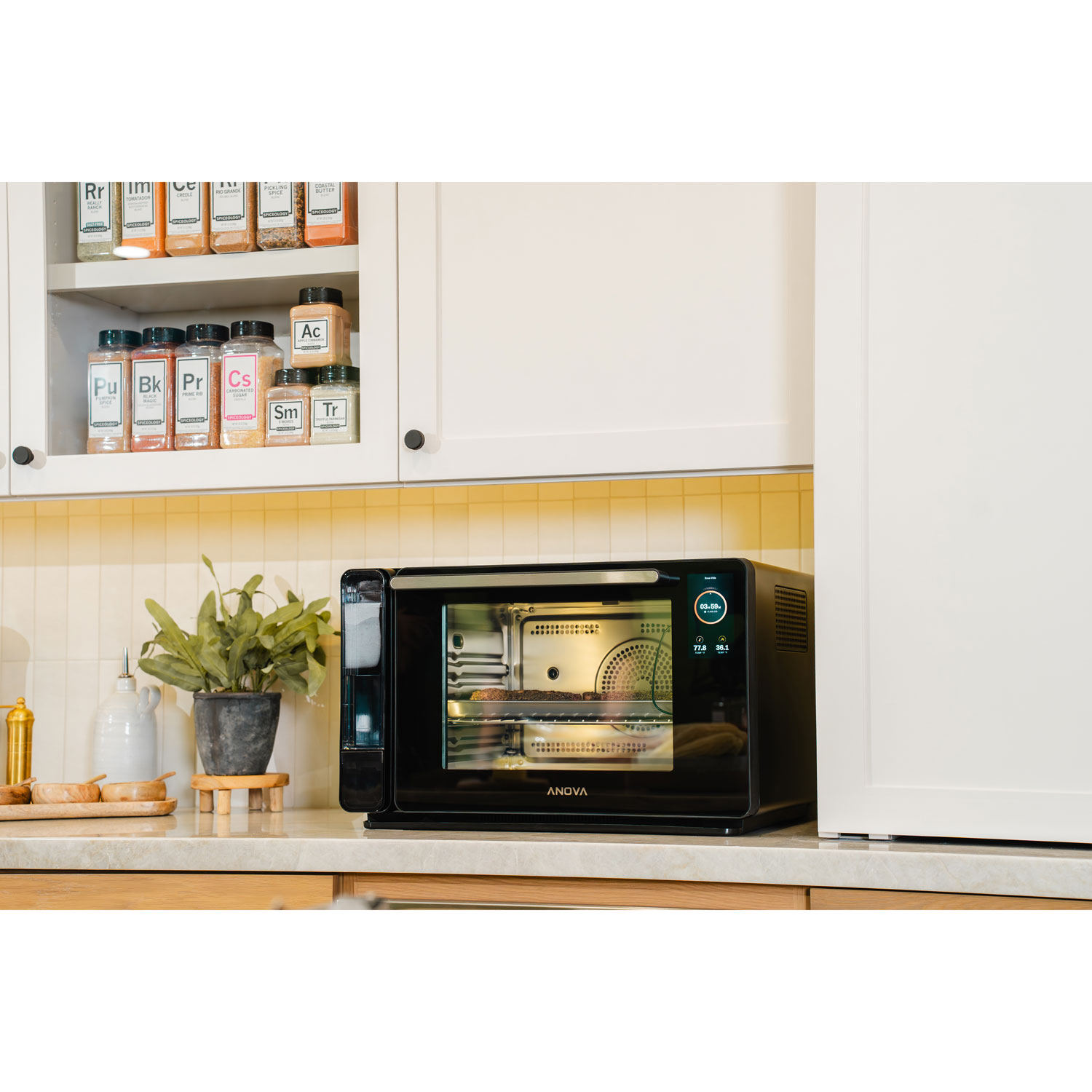 Anova Precision 2.0 Combi Oven with Steam - Black Stainless Steel - 29.9 Qt / 28.3 L