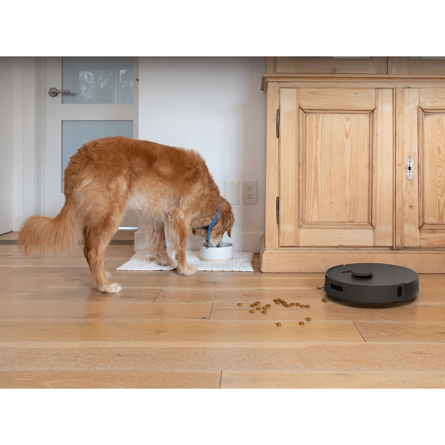 Aspirateur robot-vadrouille connecté Wi-Fi à vidage automatique Bio de bObsweep - Roche - Exclusivité Best Buy