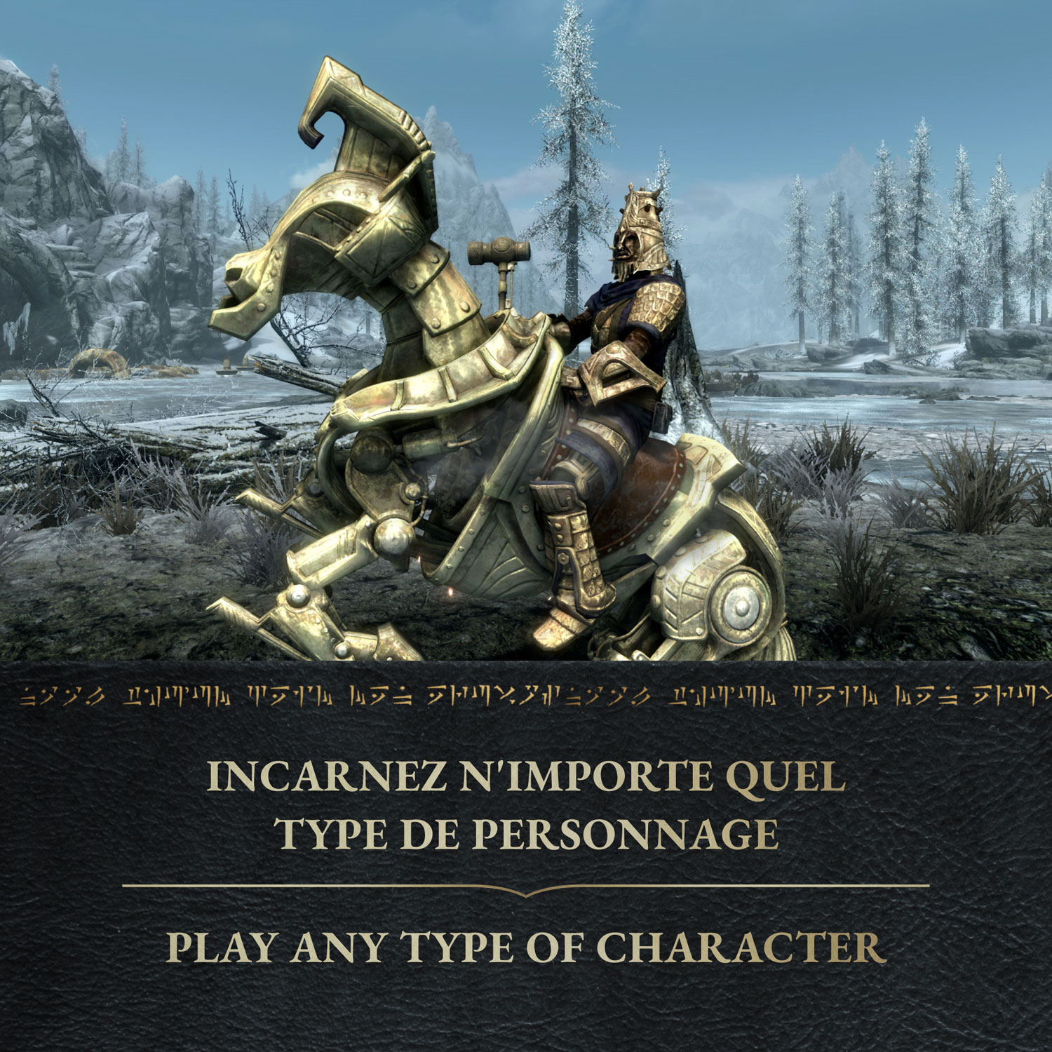 The Elder Scrolls V: Skyrim Anniversary Edition